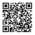 QR CODE copyright ID DEP638672775649783729