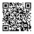 QR CODE copyright ID DEP638676523598479522